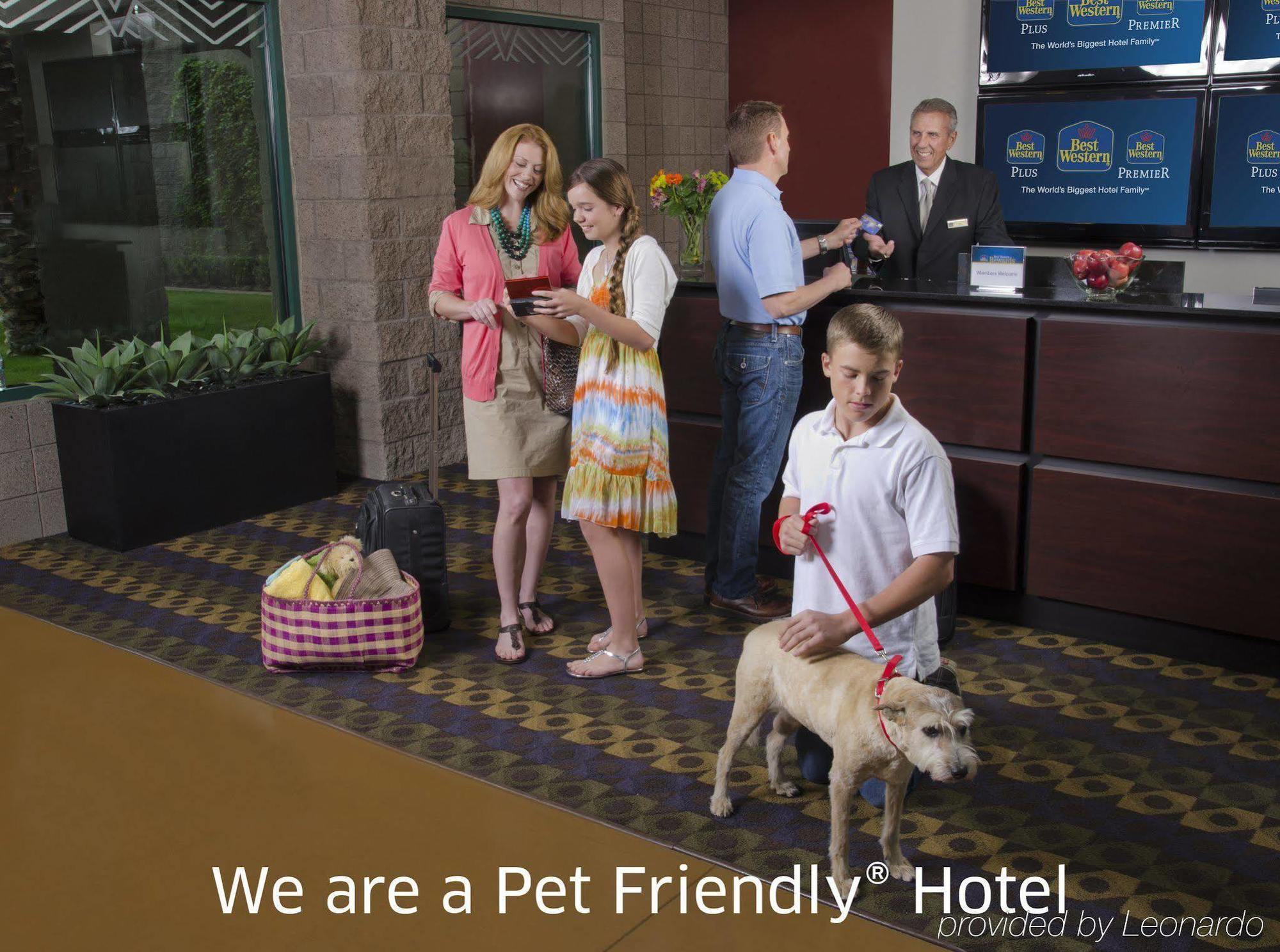 Best Western Plus Lake Elsinore Inn & Suites מראה חיצוני תמונה